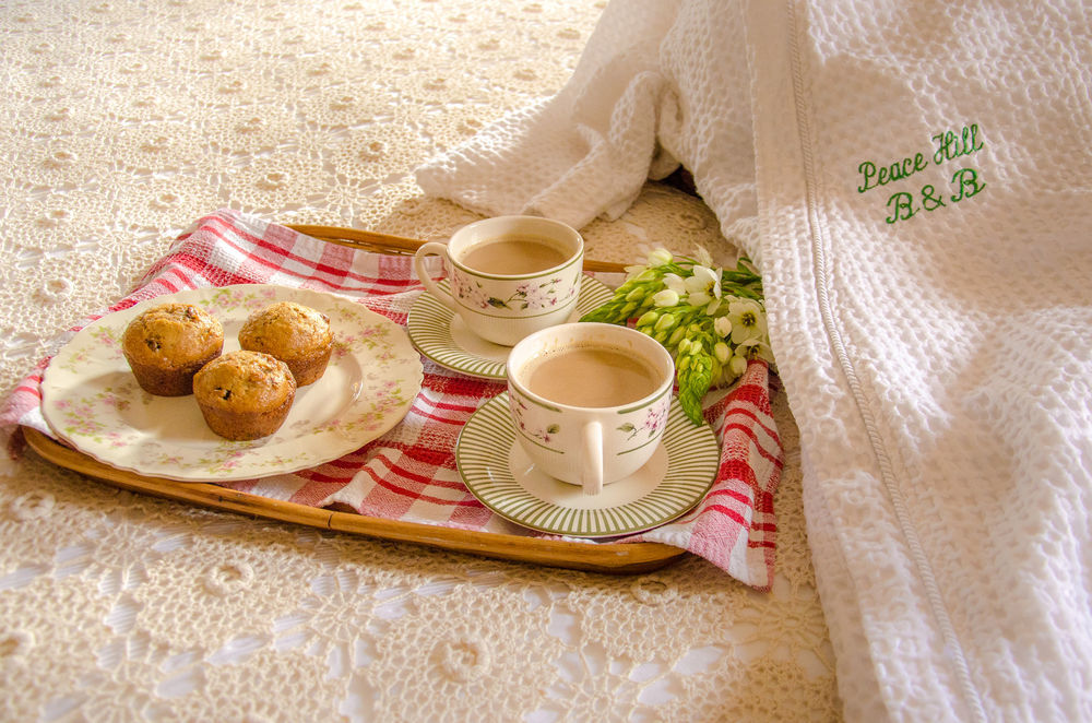 The Bed And Breakfast At Peace Hill Charles City 外观 照片